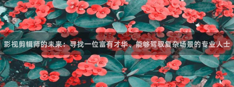 aaaa私人影院在线观看：影视剪辑师的未来：寻找一位富有才华、能够驾驭复杂场景的专业人士