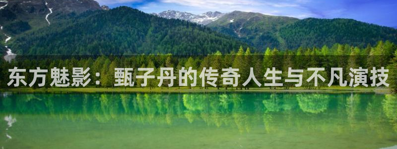 私人影院允许未成年人观影吗：东方魅影：甄子丹的传奇人生与不凡演技