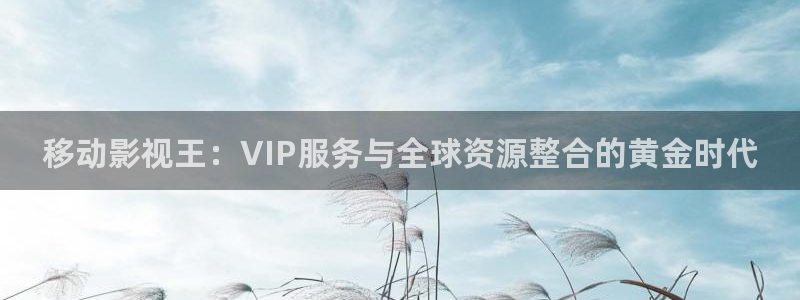 私人影院收费价格表：移动影视王：VIP服务与全球资源整合的黄金时代