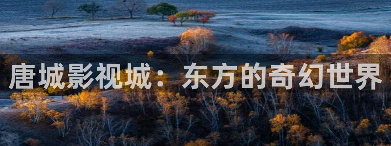 廊坊私人影院多少钱：唐城影视城：东方的奇幻世界