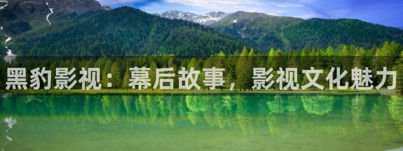 私人影院的：黑豹影视：幕后故事，影视文化魅力