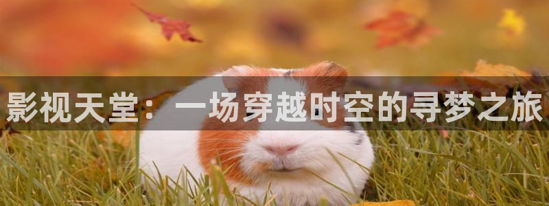 私人影院能看什么