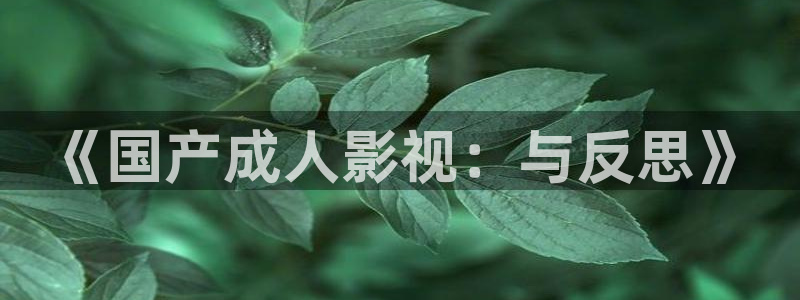 yy私人影院免费观看：《国产成人影视：与反思》